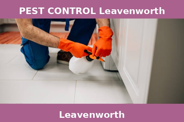 PEST CONTROL Leavenworth